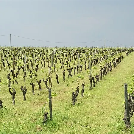 Chateau De La Galissonniere לינה וארוחת בוקר 3*