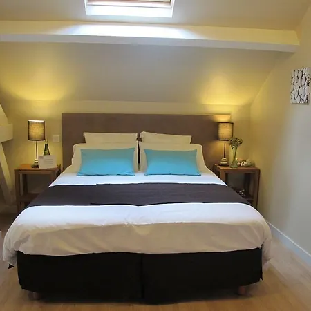 Chateau De La Galissonniere לינה וארוחת בוקר 3*