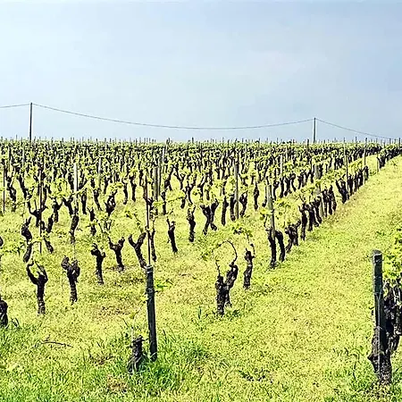 Chateau De La Galissonniere Le Pallet