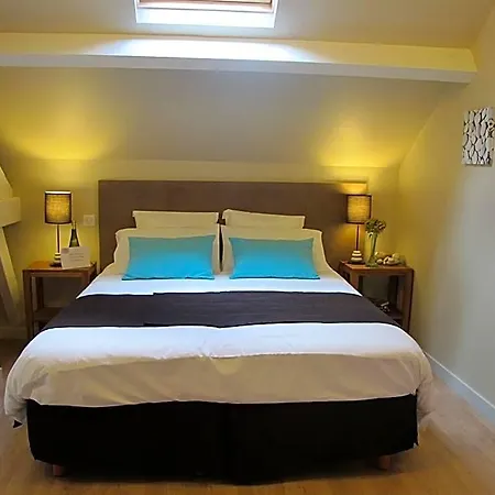 Bed and breakfast Chateau De La Galissonniere 3*
