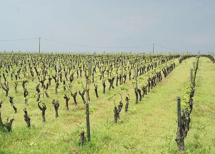 Chateau De La Galissonniere Bed & Breakfast 3*