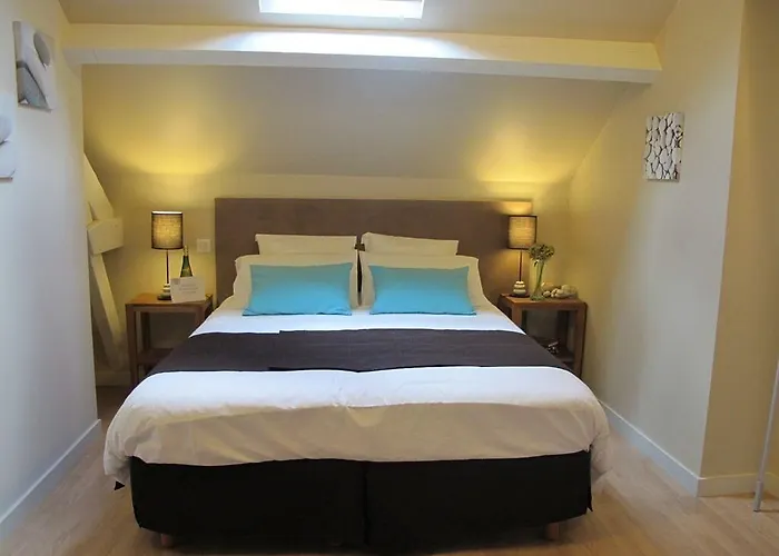 Chateau De La Galissonniere Bed & Breakfast 3*